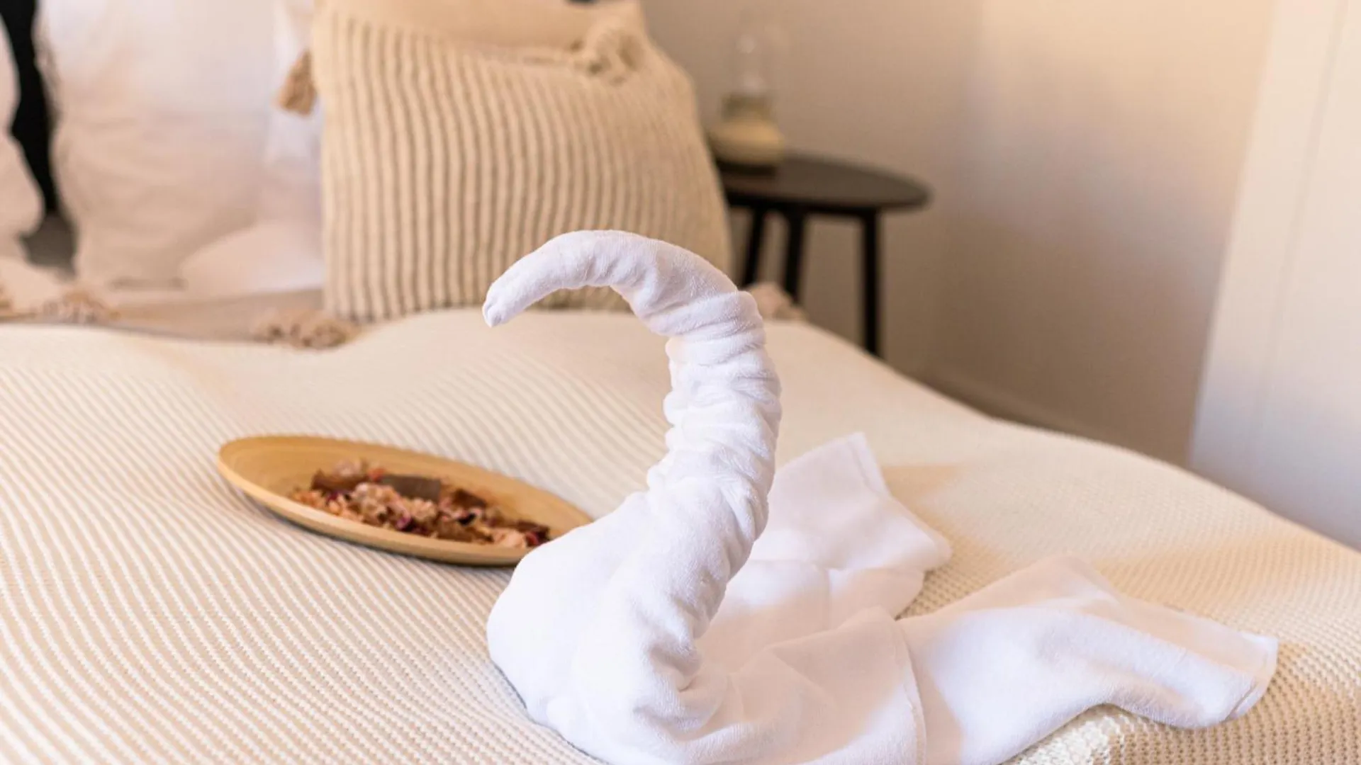 Aparthotel Deluxe Swan Stone Castle Apartment Budapest